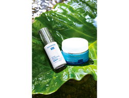 陜西馨曼、臺(tái)灣妮頓絲與德國DA 化妝品市場的多元風(fēng)采